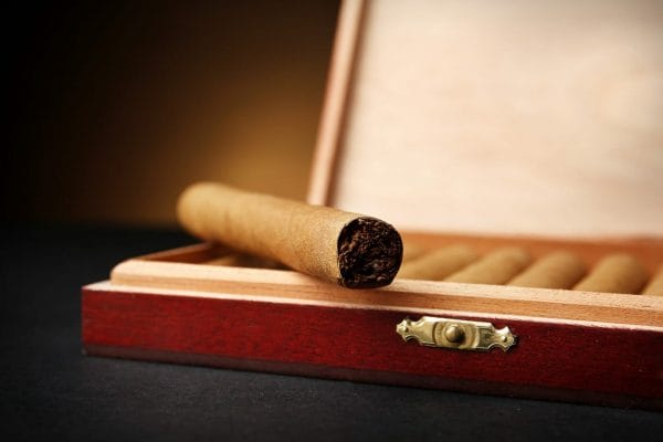 Cigars in box on table, closeup